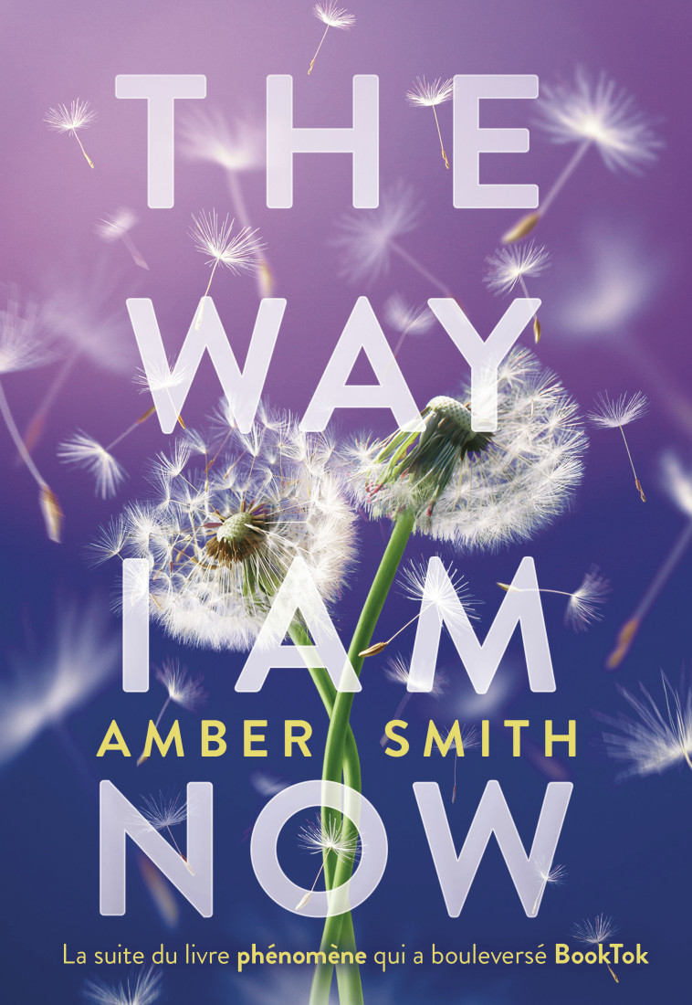 The Way I am now -  AMBER SMITH - GALLIMARD JEUNE